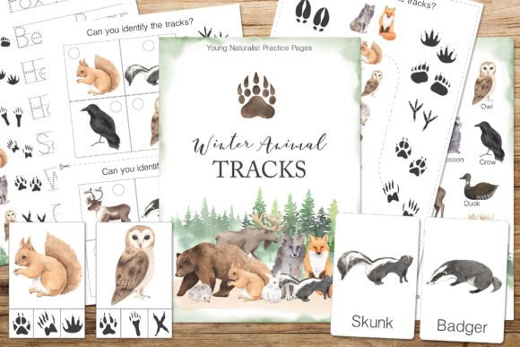 Winter Animal Tracks Unit Study: A Designer's Guide